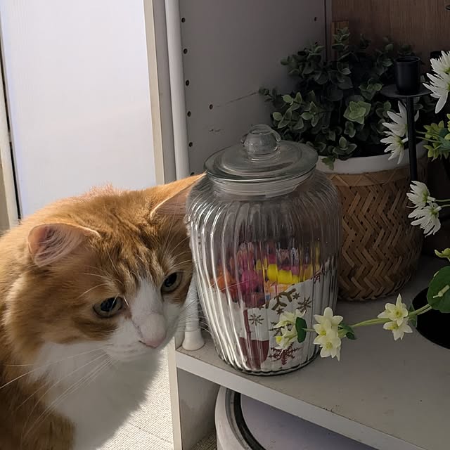 mori_6_12さんの部屋
