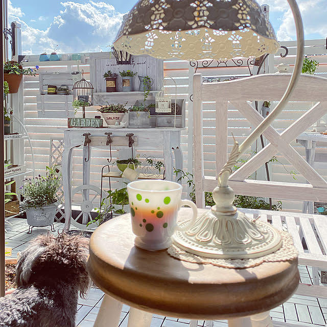 rieさんの実例写真