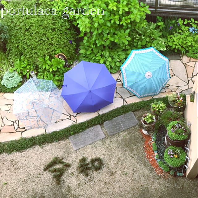 portulacaさんの実例写真