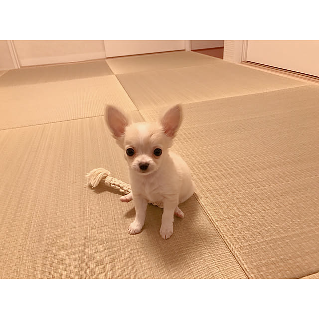 aco64さんの実例写真