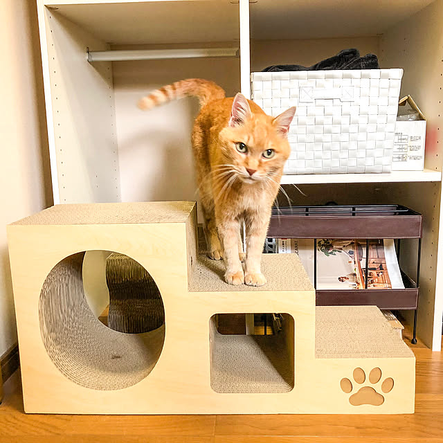 Tomさんの実例写真