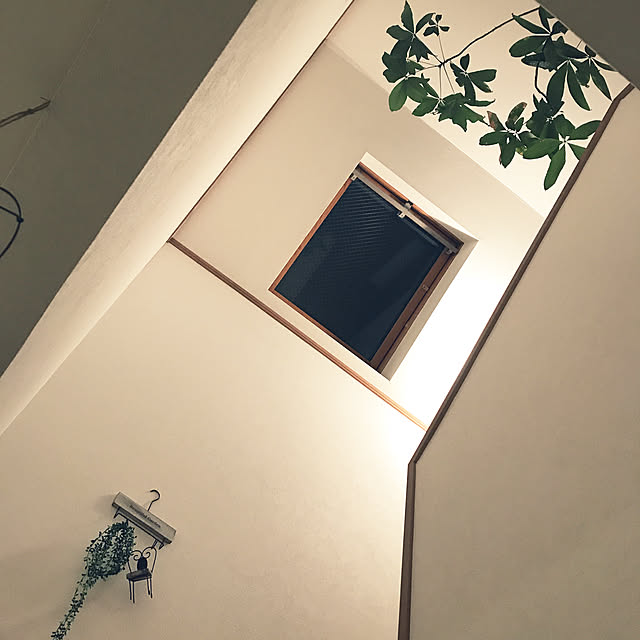 HIRAMEさんの実例写真