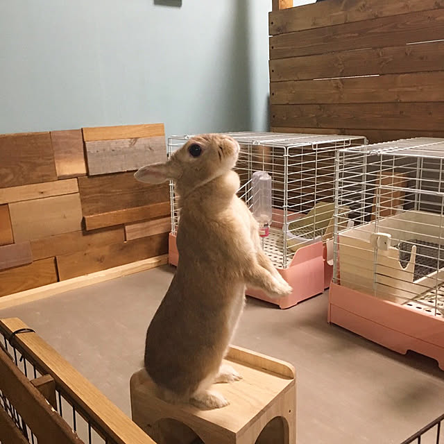 mi_marshさんの実例写真
