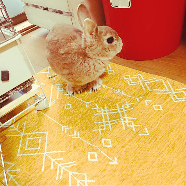 mimichankさんの実例写真