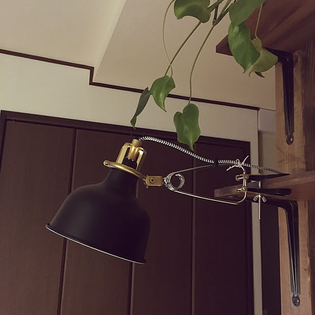 Ray.mさんの実例写真