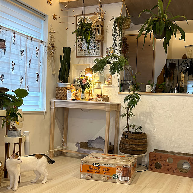 megu.catさんの実例写真