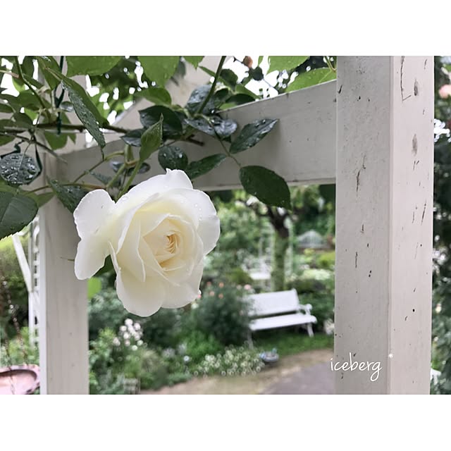 s.mamaさんの実例写真