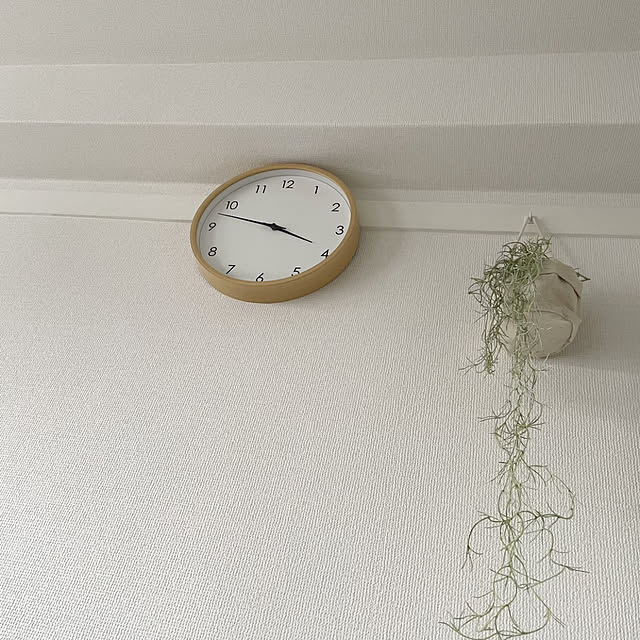 sc.yさんの実例写真