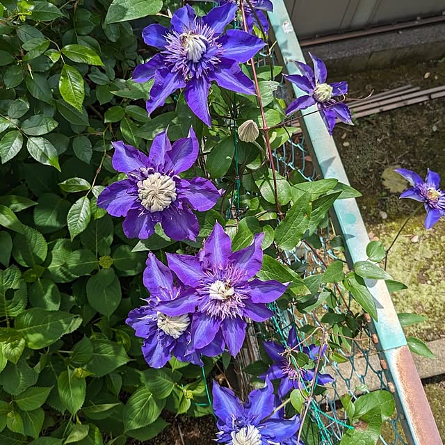 mofukoさんの部屋