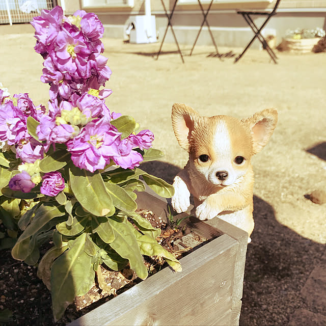 nahoさんの実例写真