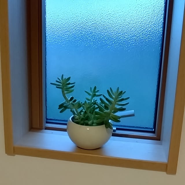 kkmhさんの部屋