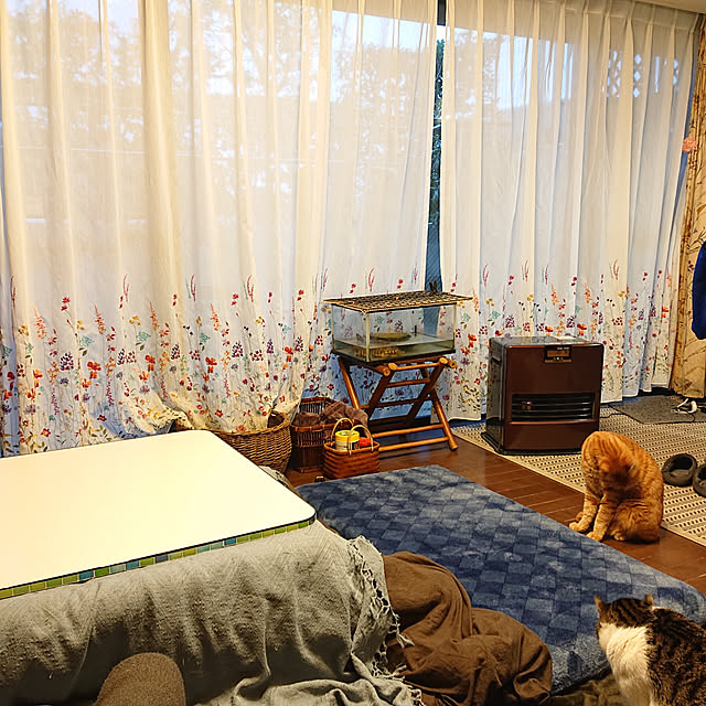 okyosan101さんの実例写真