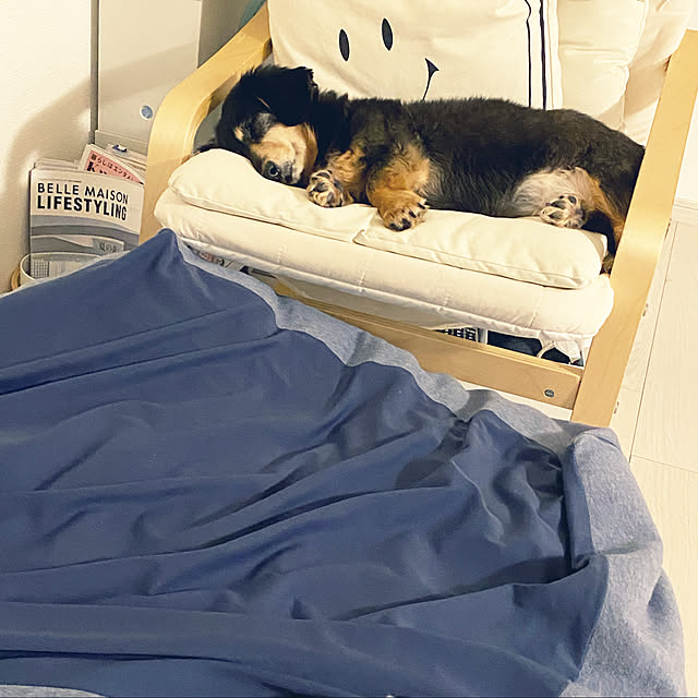 ohanaさんの実例写真