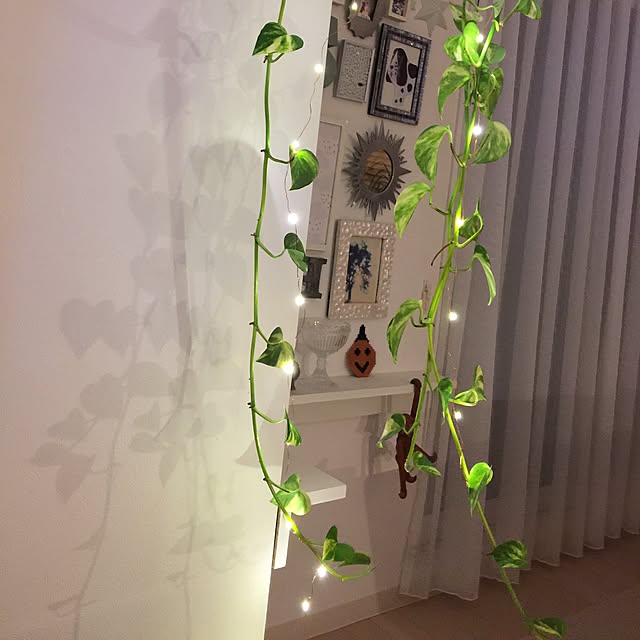 haruhinaさんの実例写真