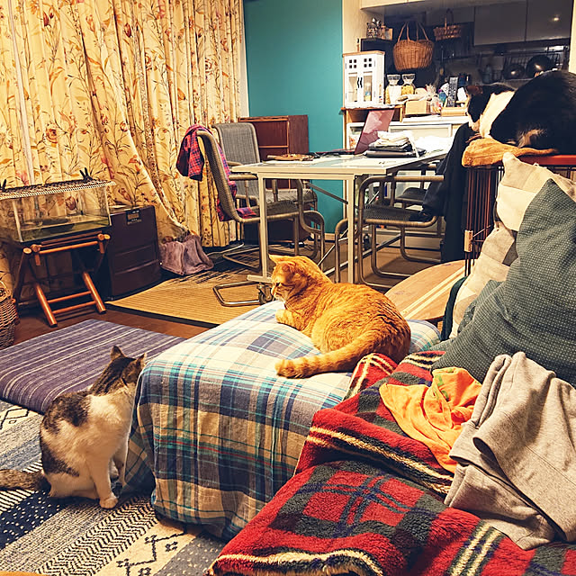 okyosan101さんの実例写真