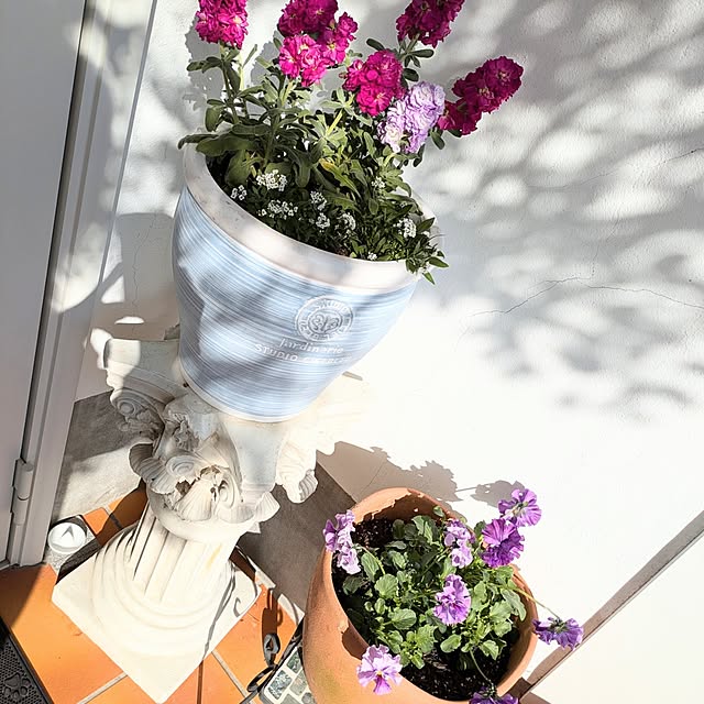 kikufujiさんの実例写真