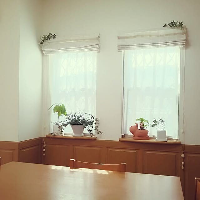 実例写真