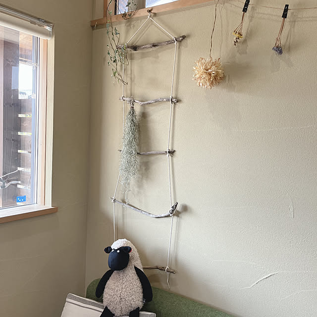 ハンドメイド/観葉植物/部屋全体のインテリア実例 - 2023-06-17 16:40:48
