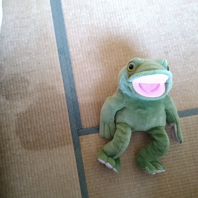okyosan101さんの実例写真