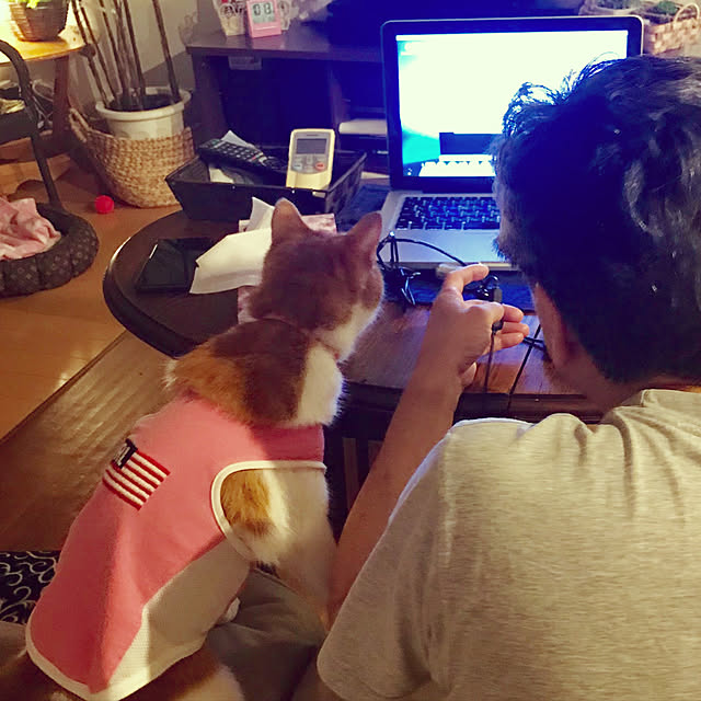 実例写真