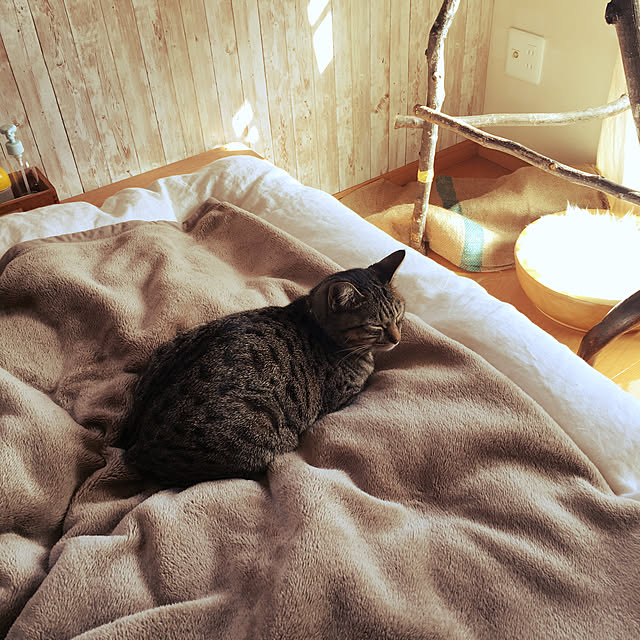 Mさんの実例写真