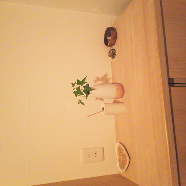 kyon.mamaさんの実例写真