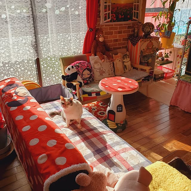 kumutanさんの実例写真