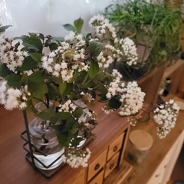 masarinn.さんの部屋