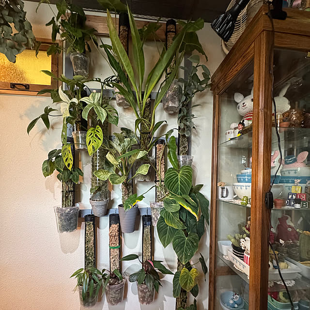 Tomokoさんの実例写真