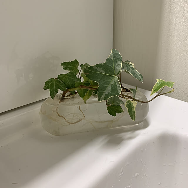 pocharin1226さんの実例写真