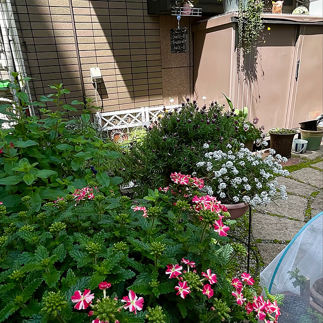 puriyuzuさんの実例写真