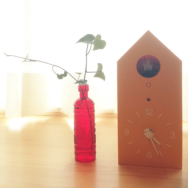 mushroomさんの実例写真