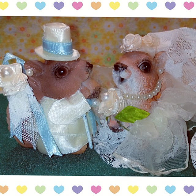 mocomocoさんの実例写真