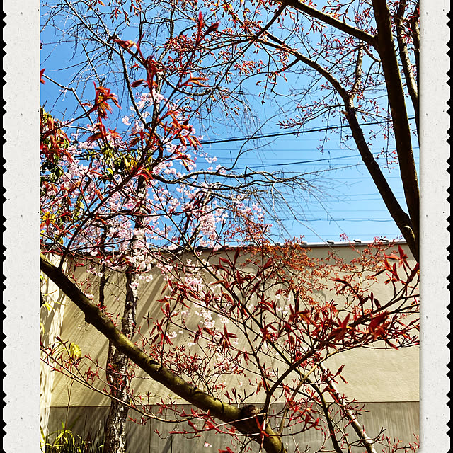 cota2さんの部屋