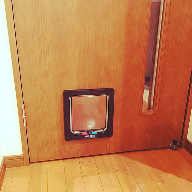Shojiさんの実例写真