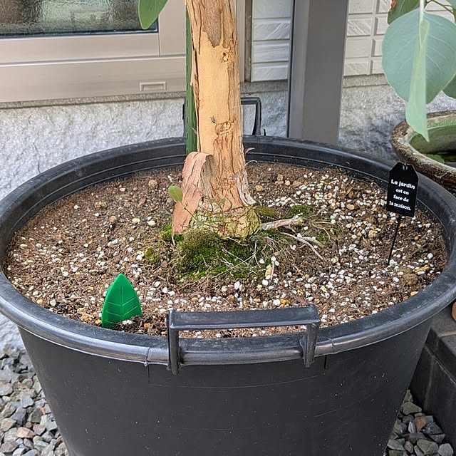 naoさんの部屋