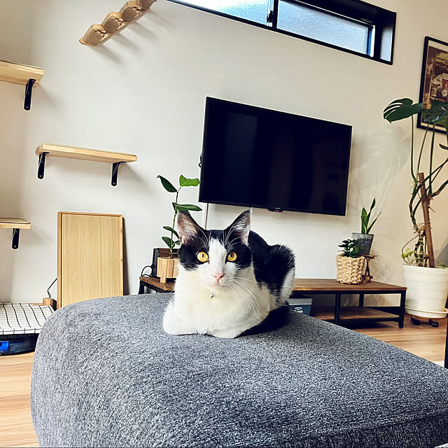 qp_ktbnさんの実例写真