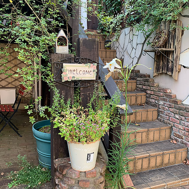 asuchan1022さんの実例写真