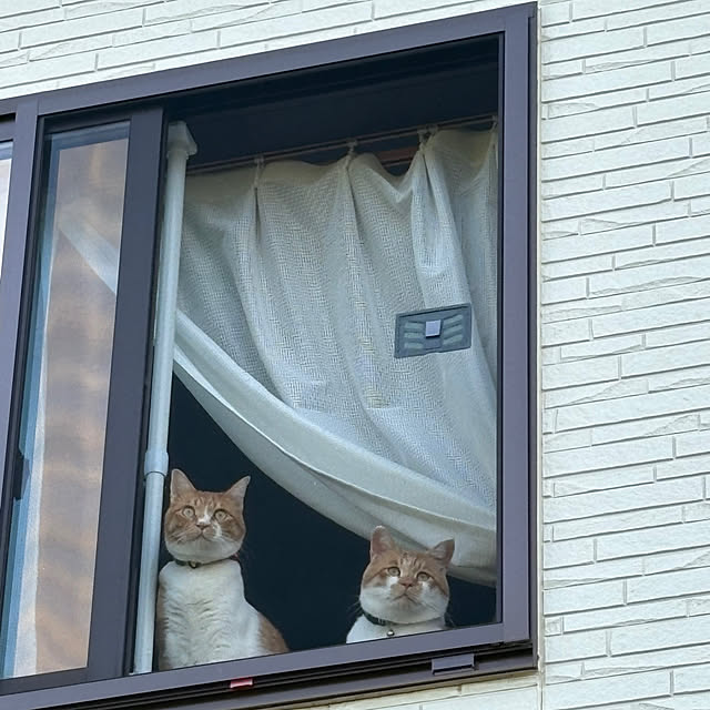 shi622さんの実例写真