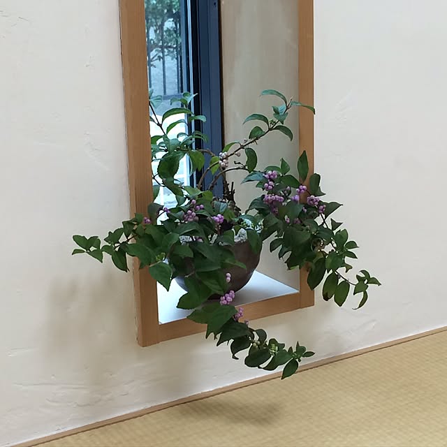 Notoさんの実例写真