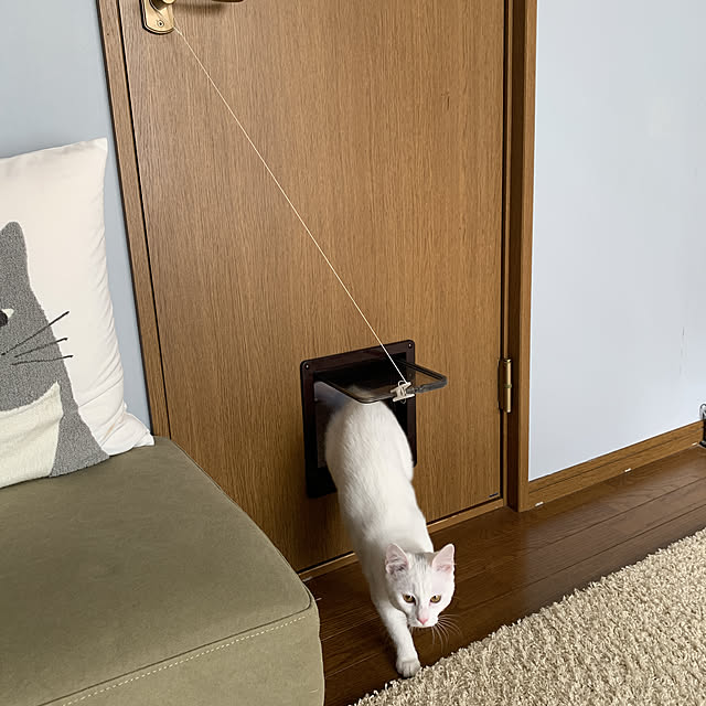 keiさんの実例写真