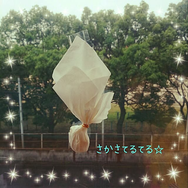 tomoさんの実例写真