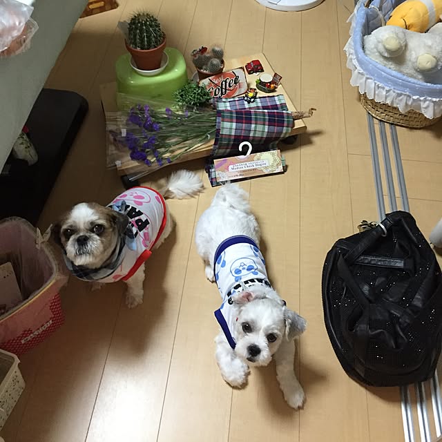 emiさんの実例写真