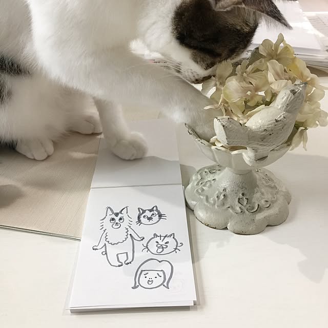 yuchiさんの実例写真