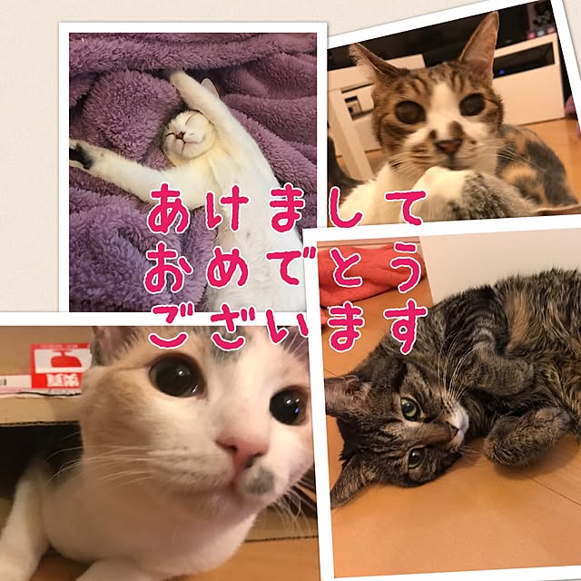 mi-mi-373さんの実例写真