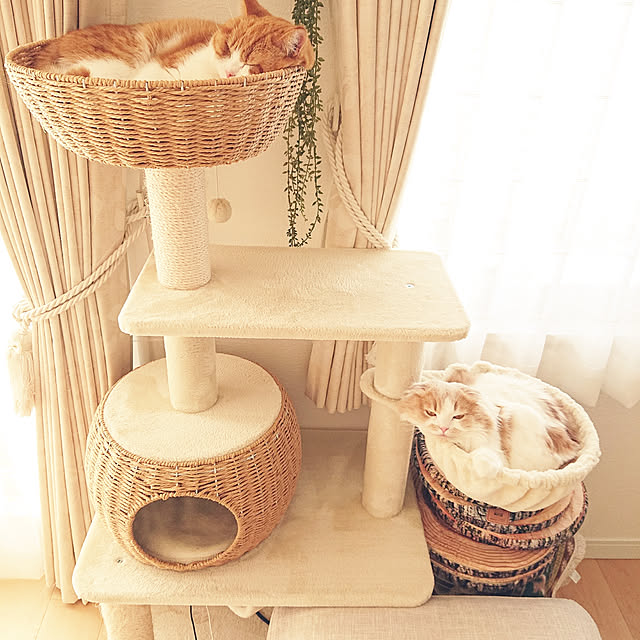 pankoro.さんの実例写真