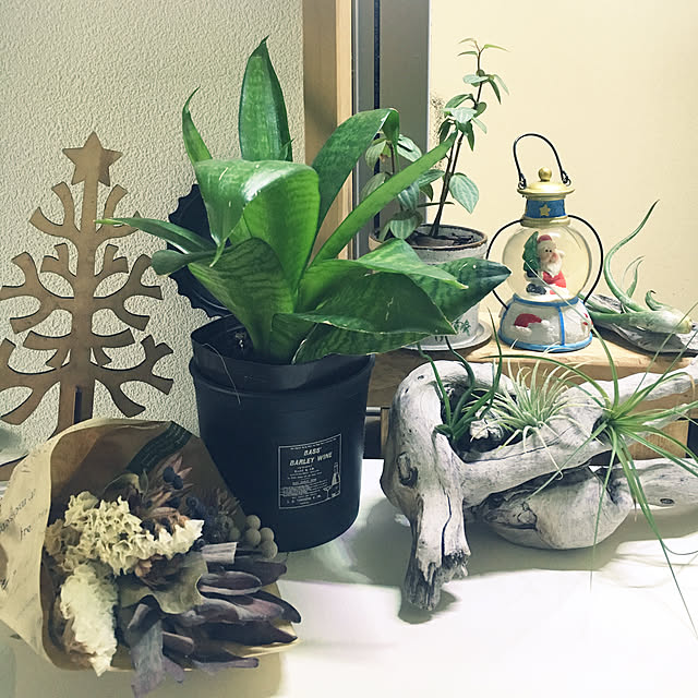 yuuさんの実例写真