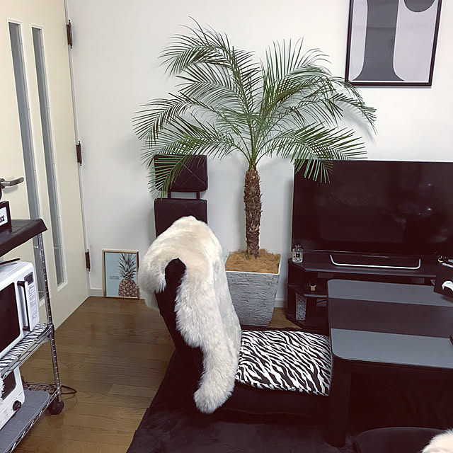 siyonさんの実例写真