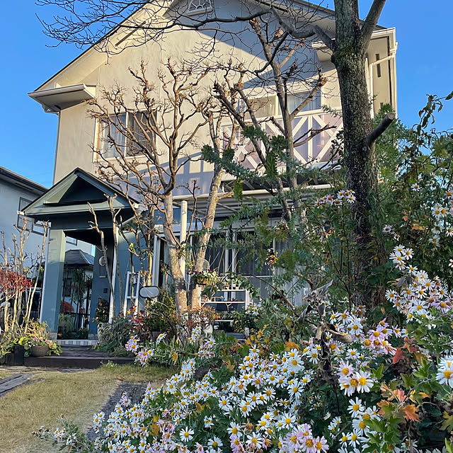 nobikoさんの部屋