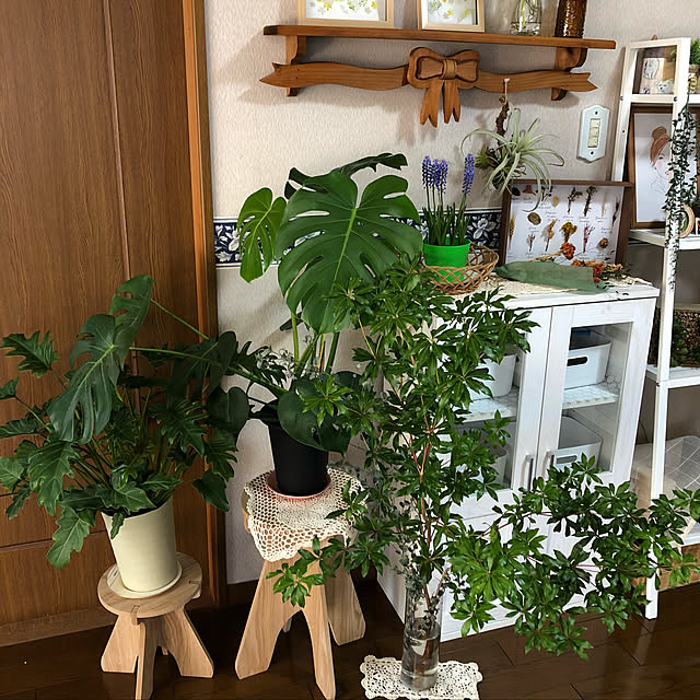 himetanさんの実例写真